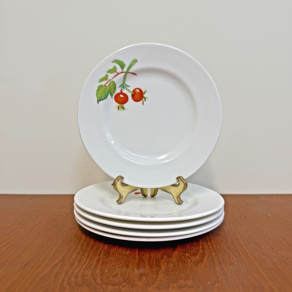 Crate & Barrel‎ Mary Woodin Appetizer Plates Set of 5 Winter Leaves & Berries